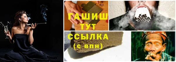 прущие грибы Аркадак