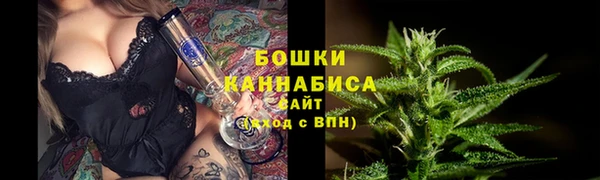 гидра Алексеевка