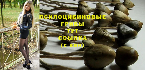 гидра Алексеевка